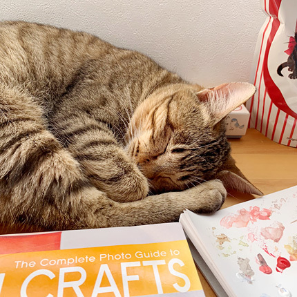 ribboncat190212cweb.jpg