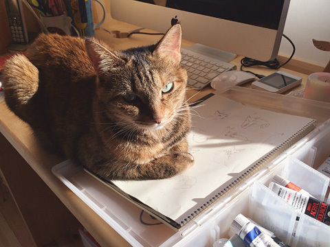 151112cweb.jpg