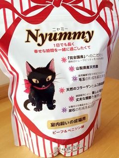 リボンキャットパッケージのキャットフード、Nyummy（ニャミー）！！: Ribbon Cat - リボンキャット仲田愛美 -